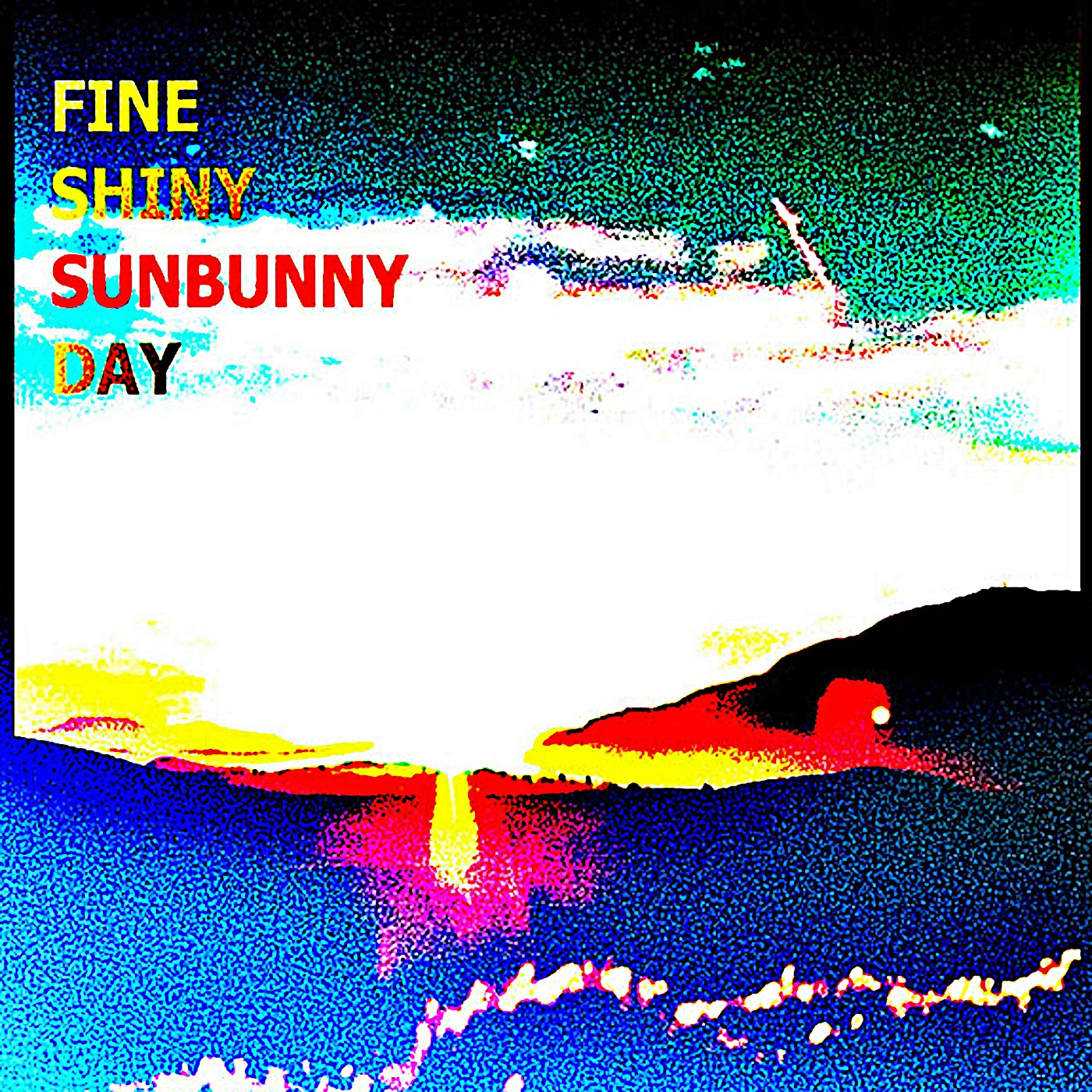 Fine Shiny Sunbunny Day